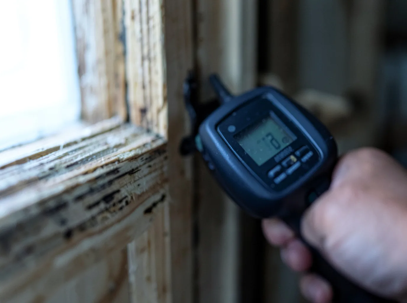 Moisture Inspection And Documentation in Mountain Lake, MN